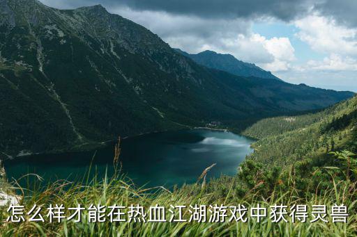 热血江湖手游十大精灵怎么获得，怎么样才能在热血江湖游戏中获得灵兽