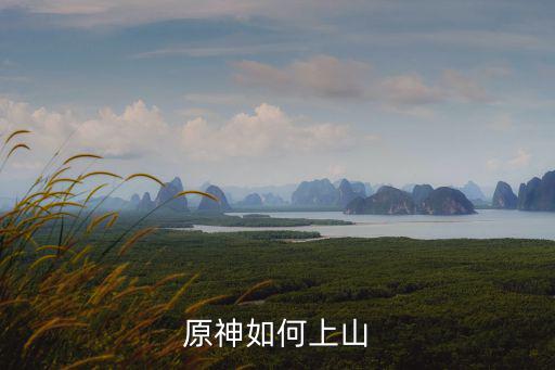 原神如何上山