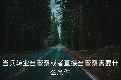 当兵转业当警察或者直接当警察需要什么条件