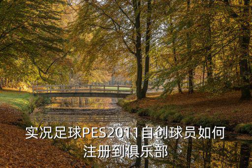 实况足球PES2011自创球员如何注册到俱乐部