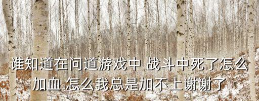谁知道在问道游戏中 战斗中死了怎么加血 怎么我总是加不上谢谢了