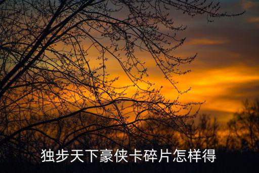 独步天下豪侠卡碎片怎样得