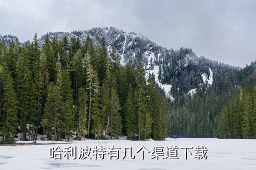 哈利波特有几个渠道下载