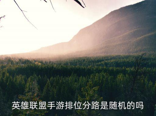 英雄联盟手游排位分路是随机的吗