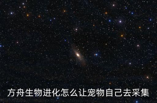 方舟生物进化怎么让宠物自己去采集