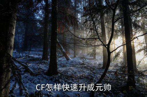 cf手游元帅怎么升级，CF怎样快速升成元帅