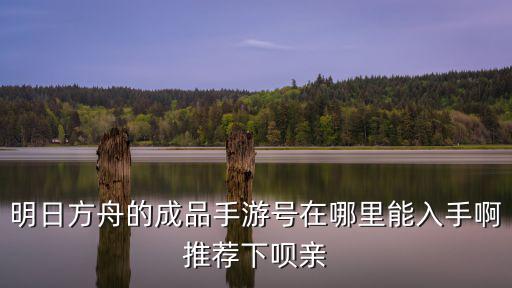 网上买的方舟怎么弄手游，明日方舟的成品手游号在哪里能入手啊推荐下呗亲