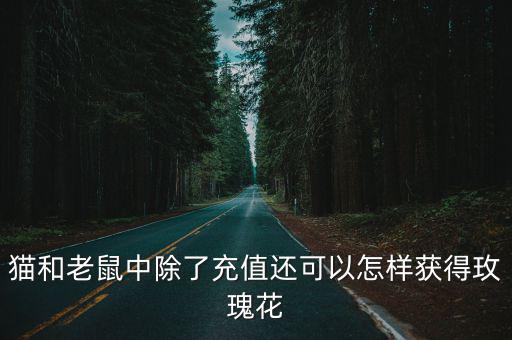 猫和老鼠手游彩色花怎么获得，我怎么能得到五色花