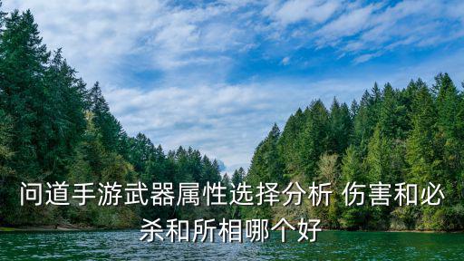 问道手游武器属性选择分析 伤害和必杀和所相哪个好