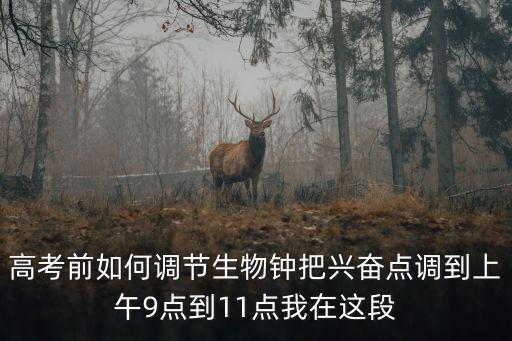 高考前如何调节生物钟把兴奋点调到上午9点到11点我在这段