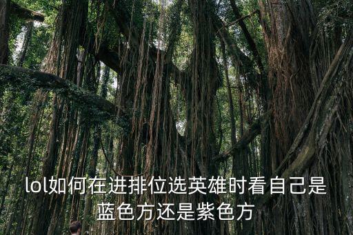 lol如何在进排位选英雄时看自己是蓝色方还是紫色方