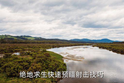 手游绝地求生瞄准加射击怎么设置，绝地求生快速预瞄射击技巧