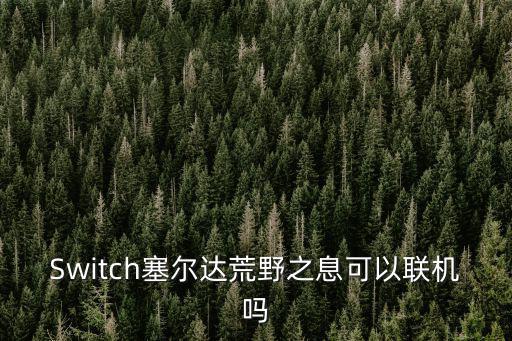 Switch塞尔达荒野之息可以联机吗