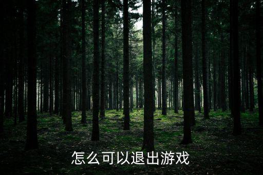 怎么可以退出游戏