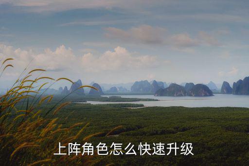 上阵角色怎么快速升级