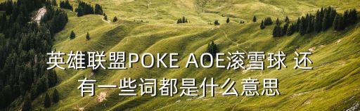 英雄联盟POKE AOE滚雪球 还有一些词都是什么意思