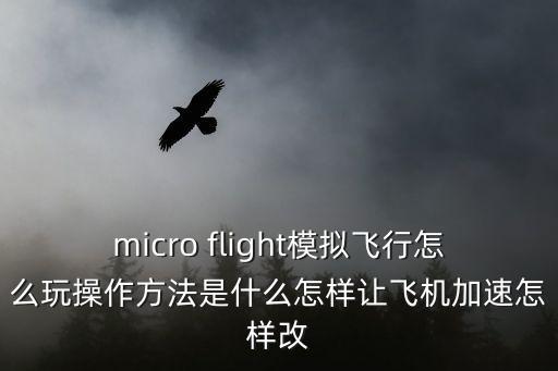 micro flight模拟飞行怎么玩操作方法是什么怎样让飞机加速怎样改