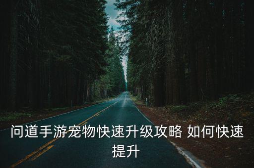 问道手游宠物快速升级攻略 如何快速提升