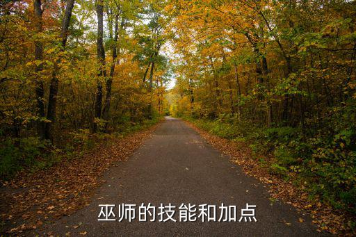 黑色沙漠手游巫师技能怎么升级，巫师的技能和加点