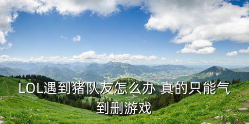 爆破遇猪队友手游怎么玩，斗地主怎么遇到猪一样的队友啊天天遇到没有作弊合伙