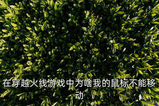 cf手游鼠标怎么动，在穿越火线游戏中为啥我的鼠标不能移动