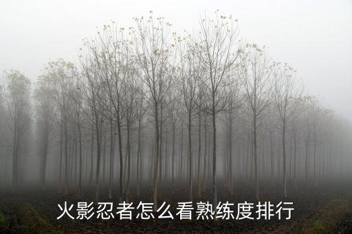 火影忍者怎么看熟练度排行