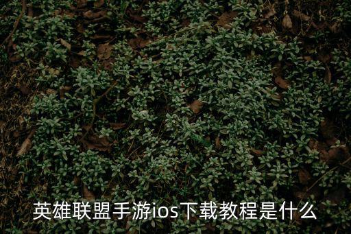 英雄联盟手游ios下载教程是什么