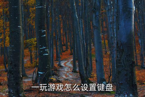 单手键盘怎么设置手游英雄联盟，一玩游戏怎么设置键盘