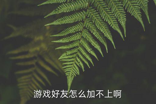 云顶之奕手游怎么不能加好友，为什么不能添加游戏好友了