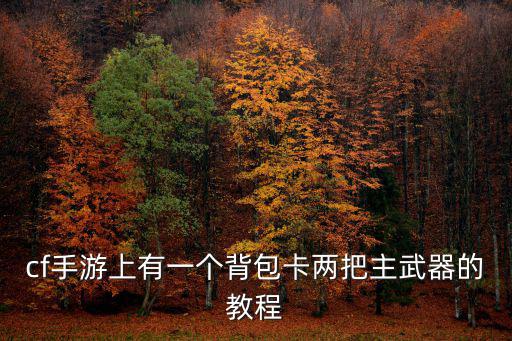 cf手游卡两把主武器怎么卡，怎么卡啊 俩把主武器