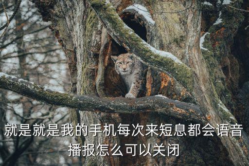 手游跑跑怎么关闭语音聊天，问下怎么把联机的语音聊天功能关闭