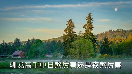 天谕手游夜煞怎么样，天谕这款游戏职业对比鲜明吗