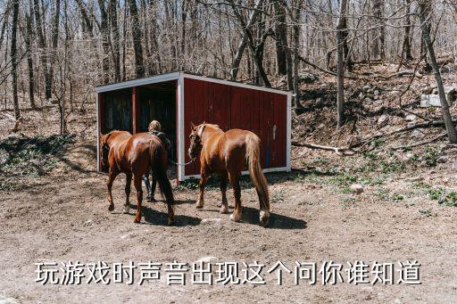 诛仙手游语音发抖是怎么回事，玩游戏时声音出现这个问你谁知道