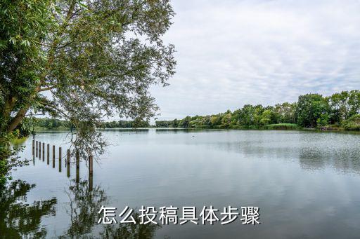 官方英雄联盟手游怎么投稿，如何投稿具体步骤是什么