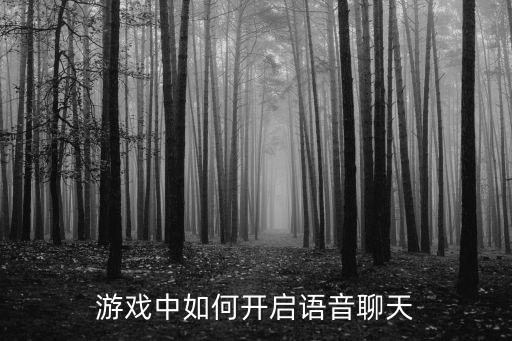 我的世界手游怎么使用语音，我的世界在怎么自动说话