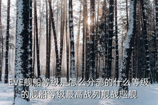 EVE舰船等级是怎么分部的什么等级的舰船等级最高战列舰战巡舰