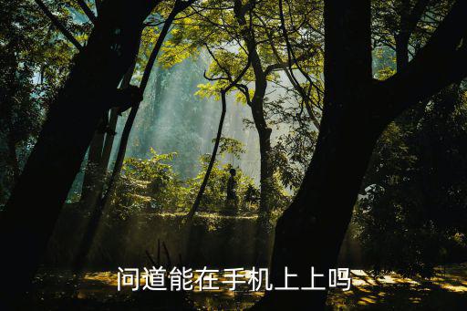 问道能在手机上上吗