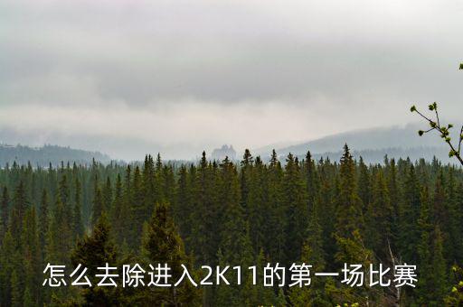 怎么去除进入2K11的第一场比赛