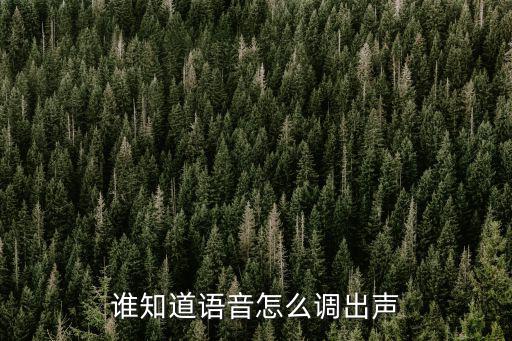 谁知道语音怎么调出声