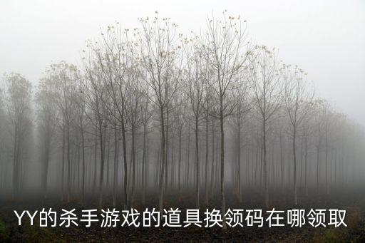 YY的杀手游戏的道具换领码在哪领取