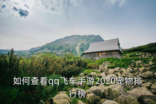 手游飞车腾空宠物排行怎么看，QQ飞车宠物的等级一般在哪里可以查看