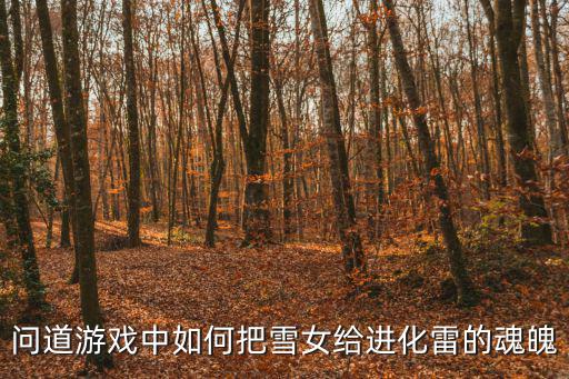 问道游戏中如何把雪女给进化雷的魂魄