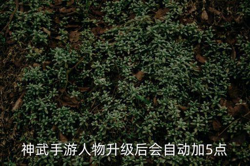 神武手游人物升级后会自动加5点