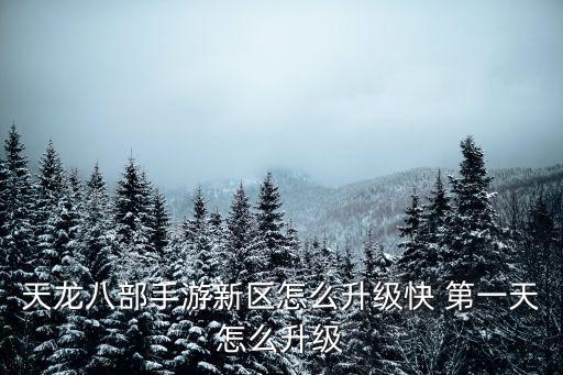 天龙八部手游新区怎么升级快 第一天怎么升级