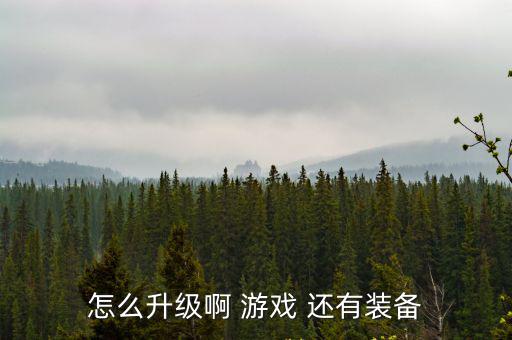 怎么升级啊 游戏 还有装备