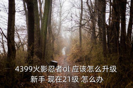 4399火影忍者ol 应该怎么升级 新手 现在21级 怎么办
