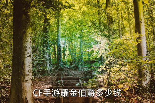 CF手游耀金伯爵多少钱
