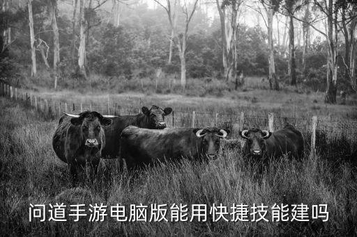 问道手游更新后怎么没有快捷键，问道电脑手游版怎么没有确定键
