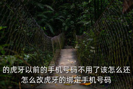 虎牙手游怎么更改手机号，虎牙更换手机号申诉在哪里填