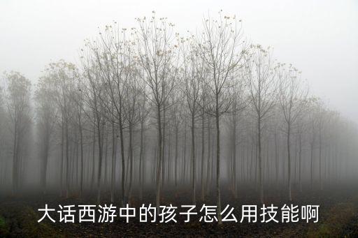 大话手游孩子命盘技能怎么用，大话西游2孩子天赋技能效果